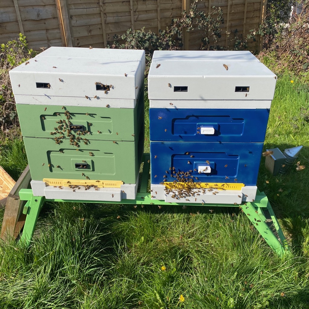 Bee Hives at Hollin Park