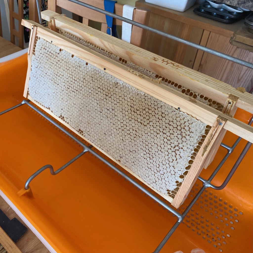 Honey Frame